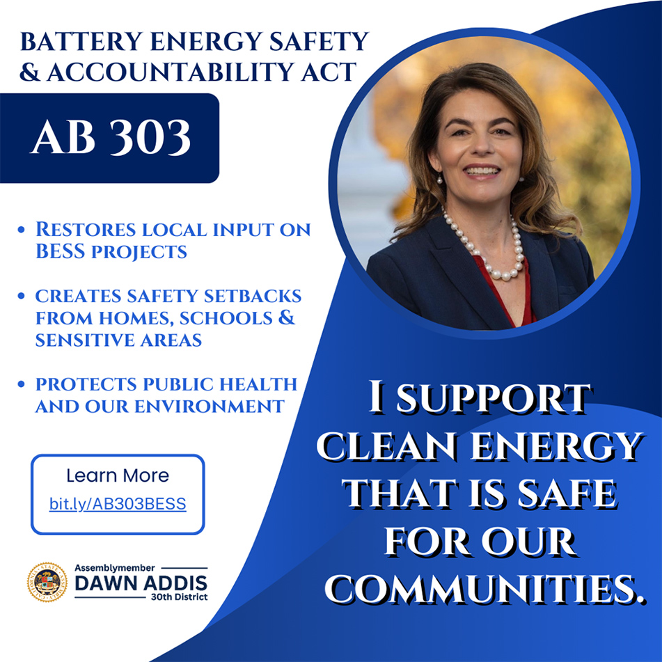 I Support Clean Energy flyer