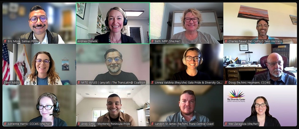 Collage of Asm. Addis and others during virtual meeting