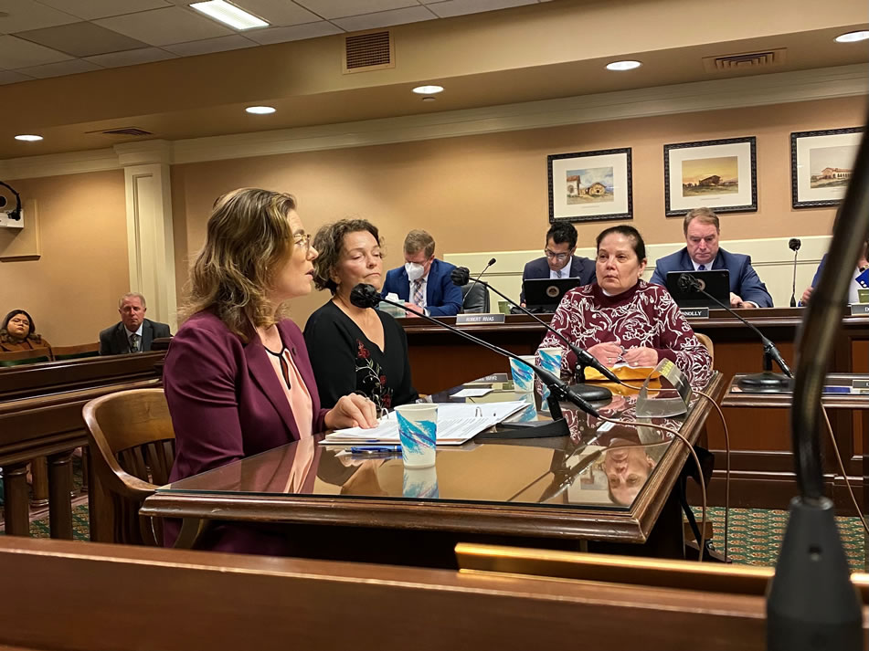 Asm. Addis providing testimony during hearing