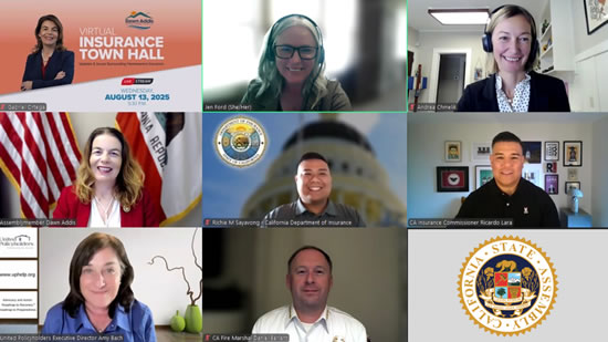 Virtual Insurance Town Hall participant collage