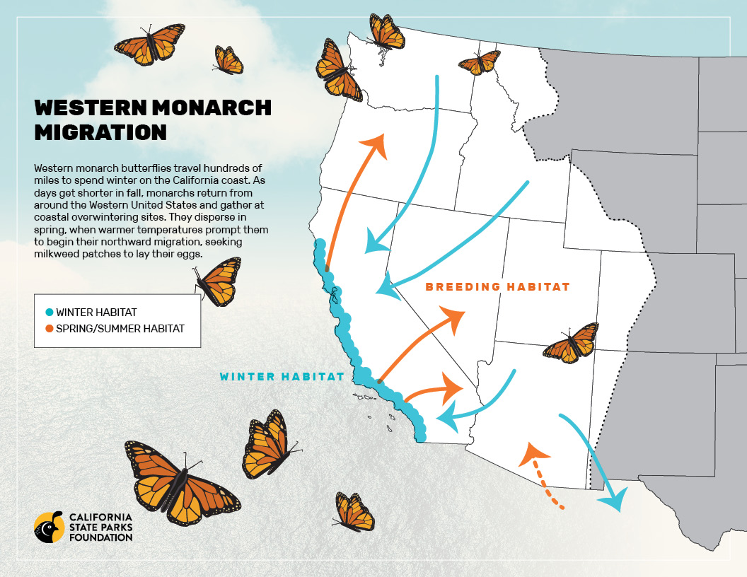 Map from California State Parks Foundation indicating the Western Monarch Migration.