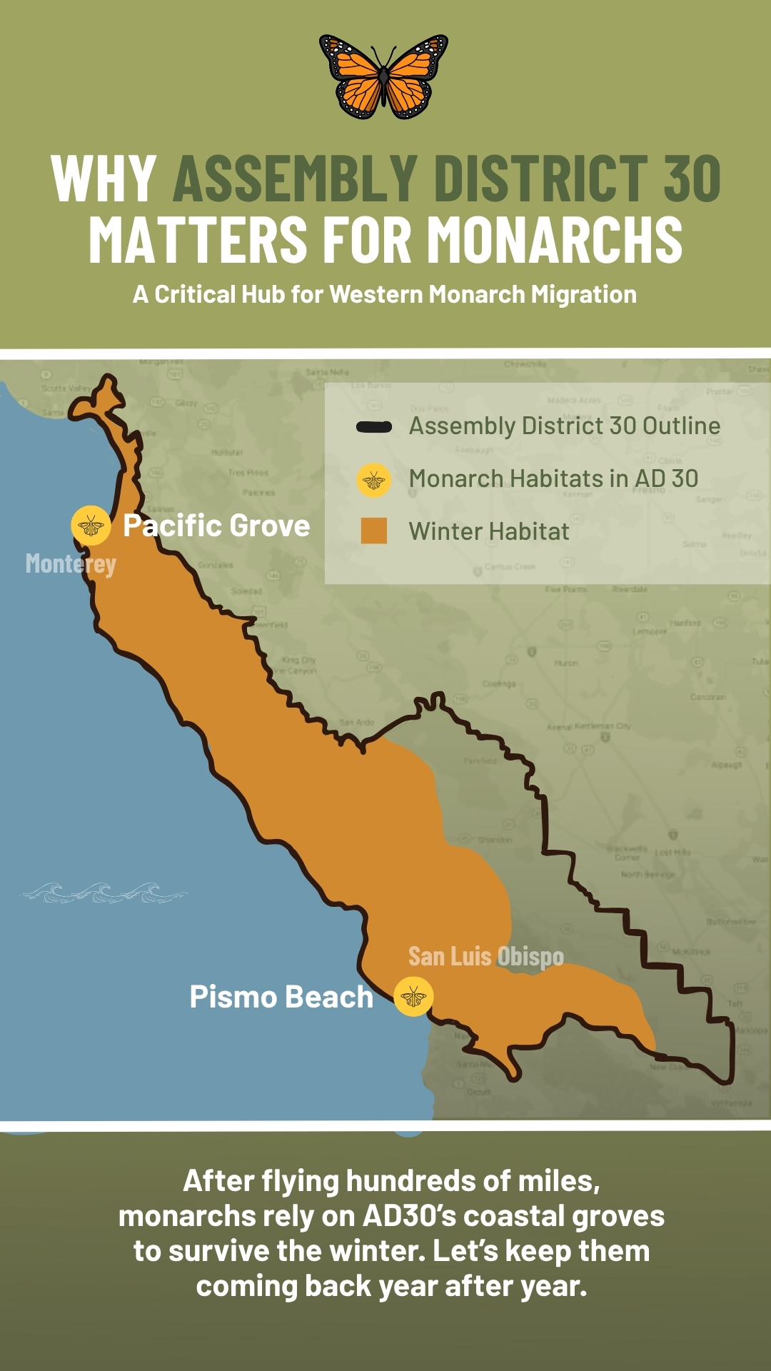 Text at the top of the graphic reads: Why Assembly District 30 matters for monarchs. A critical hub for western monarch migration. Below the text is a map of the west coast showing the winter habitat taking up 3/4 of Assembly District 30 with Monterey and Pacific Grove at the top and San Luis Obispo and Pismo Beach at the bottom. Text at the bottom reads: After flying hundreds of miles, monarchs rely on AD30's coastal groves to survuve the winter. Let's keep them coming back year after year.