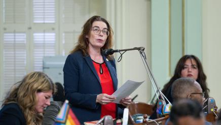 Asm. Addis standing at microphone, speaking during session