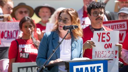 Asm. Addis at podium, speaking, with multiple demonstrators in background