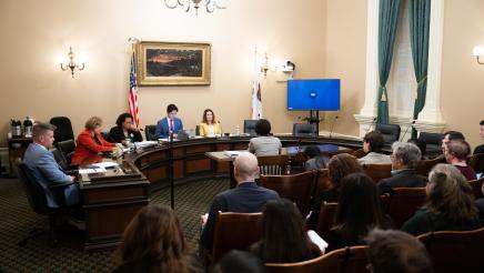 Wide view of committee members, witness and audience members