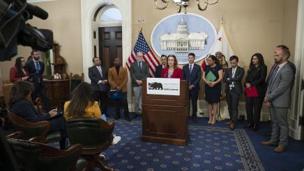 Asm. Addis at podium, speaking, with caucus members standing in background