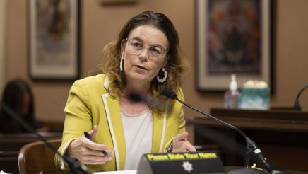 Asm. Addis gesturing with both hands while providing testimony 